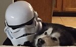 CoolTroop1