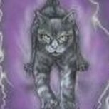 Stormkitten